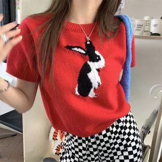 Rabbit Knit Crop Top