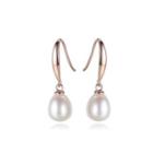 Sterling Silver Plated Rose Gold Simple Elegant White Freshwater Pearl Earrings Rose Gold - One Size