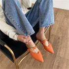 Pointy-toe Belted Flat Mules