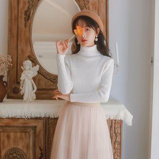 Plain Long-sleeve Turtleneck Sweater