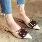Buckled Pointed Mules