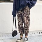 Leopard Print Jogger Pants Brown - One Size