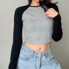 Long Raglan Sleeve Color-block Ribbed-knit Crop Top