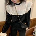 Two-tone Lace Panel Top Black - One Size