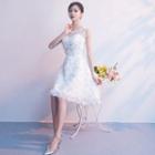 Fringed Trim Sleeveless A-line Cocktail Dress