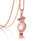 Plated Rose Gold Twelve Horoscope Aquarius Pendant With White Cubic Zircon And Necklace