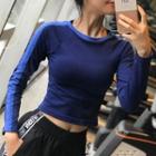 Cropped Contrast-trim Long-sleeve Sports T-shirt