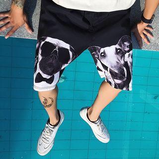 Animal Print Shorts