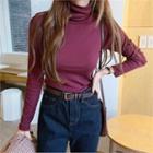 Turtle-neck Slim-fit Top In 16 Colors