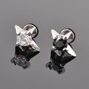 Titanium Rhinestone Earrings