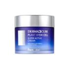 Farm Stay - Dermacube Plant Stem Cell Super Active Cream 80ml