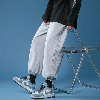 Paisley Print Trim Harem Pants
