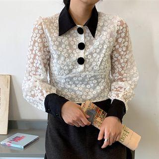 Polo-neck Cropped Lace Blouse