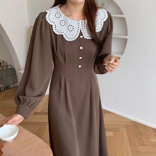 Lace Collared Lantern-sleeve Dress