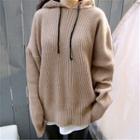 Hooded Plain Loose-fit Sweater