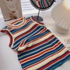 Color Block Striped Knit Tank Top Rainbow - One Size