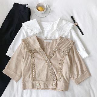 Eyelet Lace Panel V-neck Short-sleeve Blouse