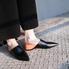 Color Block Pointed Loafers