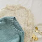 Plain Sweater / Lace Long-sleeve Sheer Top