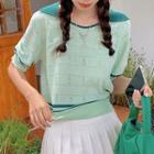 Color Block Collar Eyelet Knit Top