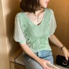 Shirt-sleeve Sheer Panel Knit Top