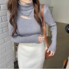 Long-sleeve Turtleneck Plain Cutout Knit Top