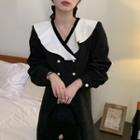 Long-sleeve Double-breasted Collared Midi A-line Dress Black - One Size