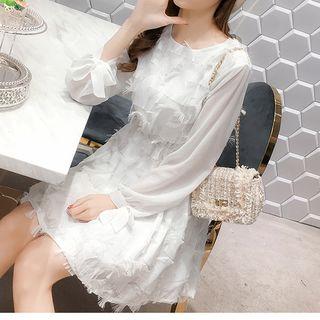 Fringed Mesh Panel Long Sleeve Dress