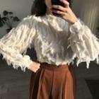 Long-sleeve Feather Accent Top