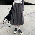 A-line Midi Pleated Skirt / Long-sleeve Raglan T-shirt
