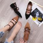 Pointed Ankle Strap Flats
