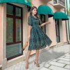 Puff-sleeve Patterned A-line Lace Dress