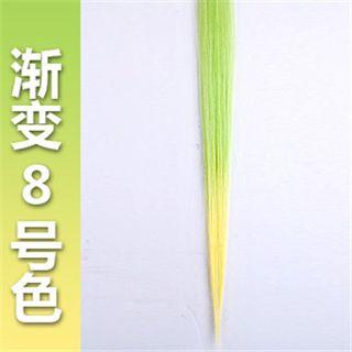 Hair Extension - Gradient & Straight
