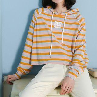Rainbow Stripe Hoodie Stripe - One Size