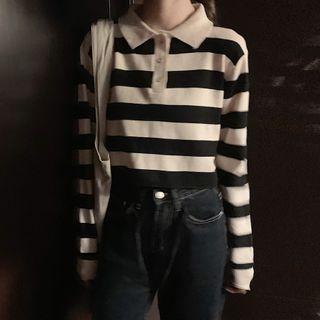 Striped Cropped Knit Polo Shirt