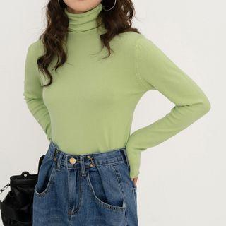 Long Sleeve Turtleneck Plain Knit Top