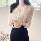 See-through Overall Lace Blouse