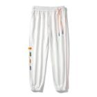 Applique Striped Harem Pants