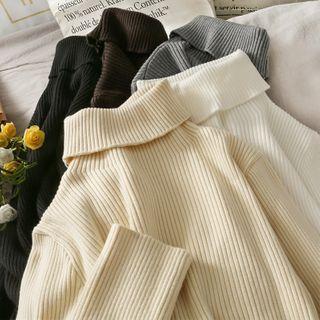 Turtleneck Skinny Knit Top In 5 Colors