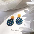 Dotted Resin Disc Dangle Earring