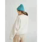 Plus Size Character Embroidered Fleece Pullover