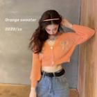 Sheer Cropped Cardigan