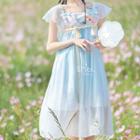 Sleeveless Square-neck Sheer Panel A-line Dress