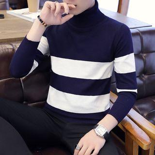 Two-tone Turtleneck Knit Top