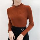 Long-sleeve Mock Neck Embroidered Knit Top