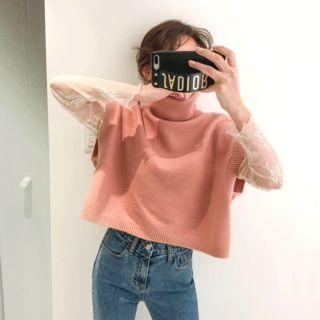 Turtle-neck Laced Sheer Top