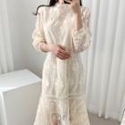 Lace Long-sleeve Sheer Dress
