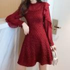 Ruffle Trim Panel A-line Skirt
