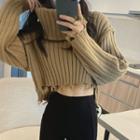 Turtleneck Fringed Cropped Sweater