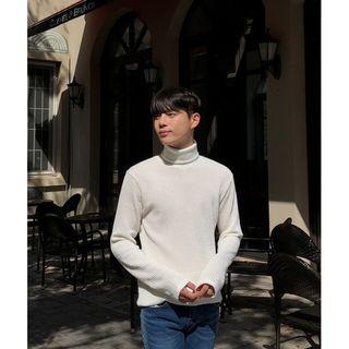 Turtle-neck Ribbed Knit Top In 8 Colors